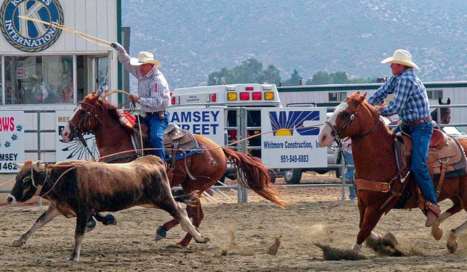 PRCA Pro Rodeo Steer roping