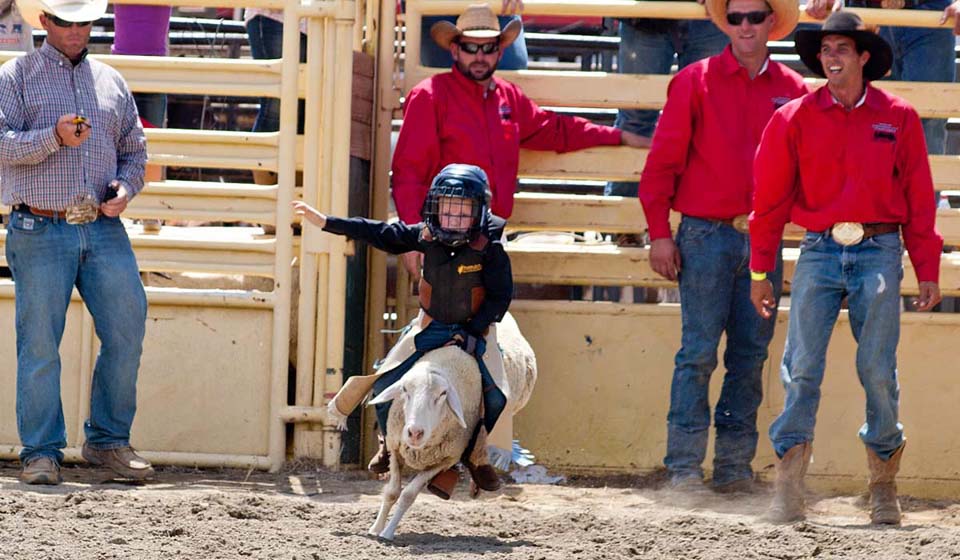 Mutton Busting Rodeo 