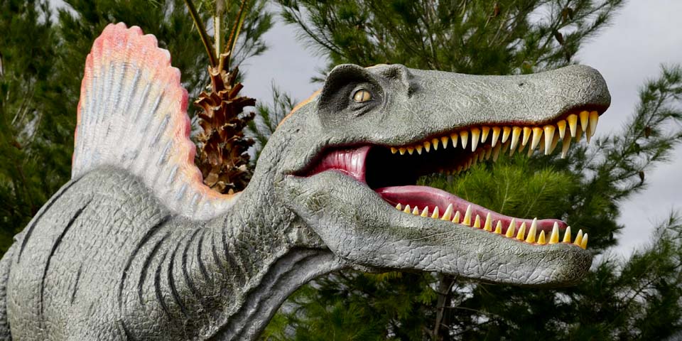 dinosaur Park  image