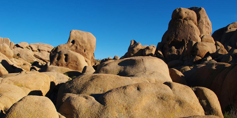 Joshua Tree Park boulders