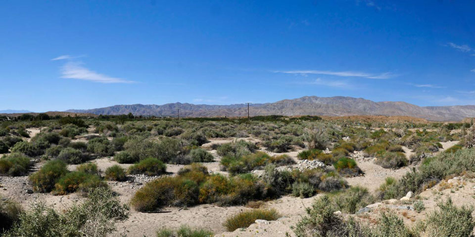 Cochella Preserve desert landscape