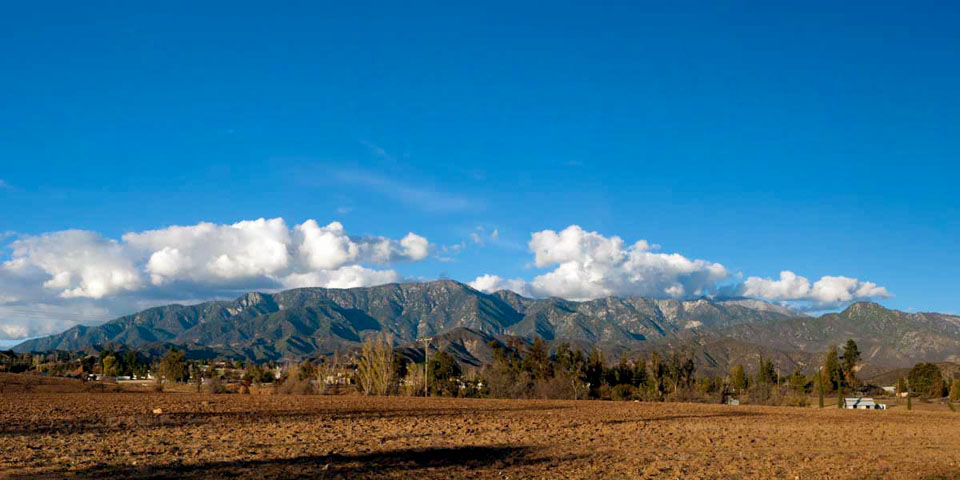 San Gorgonio Mountains from Mesa St